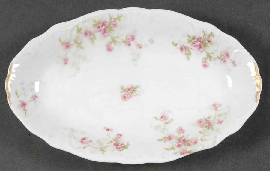 Schleiger 150 Relish by Haviland-1