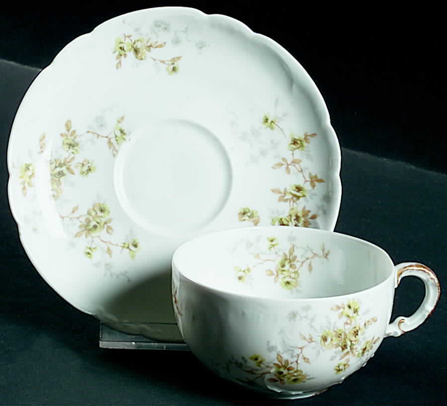 Schleiger 150A Flat Cup & Saucer Set by Haviland-1
