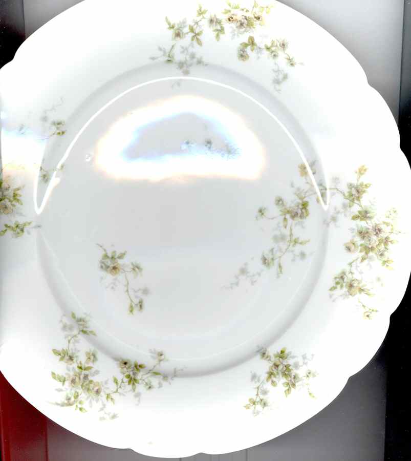 Schleiger 150A Dinner Plate by Haviland-1