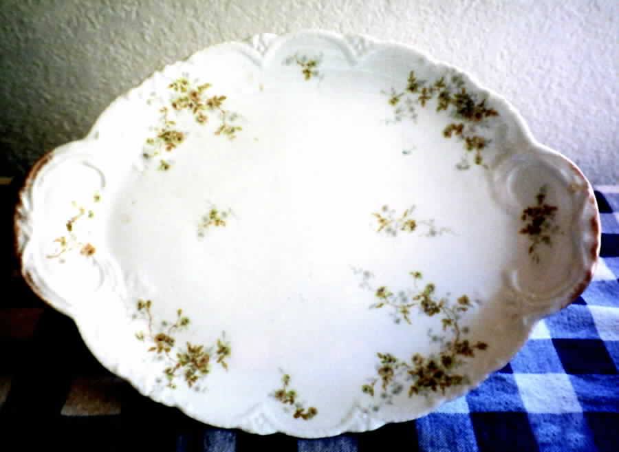 Schleiger 150C 16" Oval Serving Platter by Haviland-1