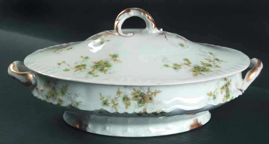 Schleiger 150EZ Oval Covered Vegetable by Haviland-1