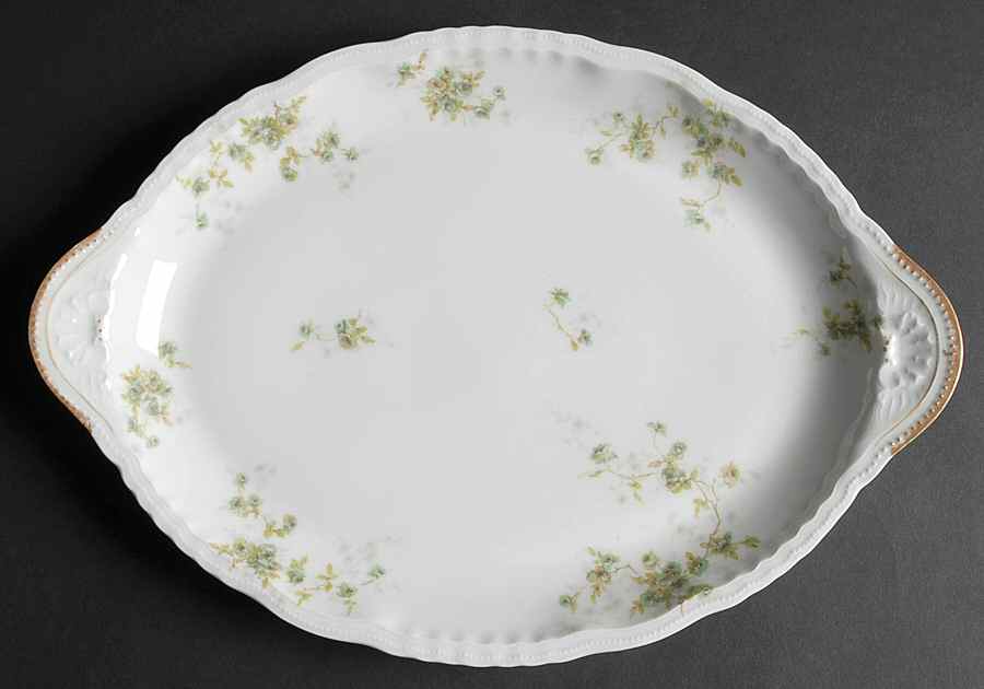 Schleiger 150EZ 14" Oval Serving Platter by Haviland-1