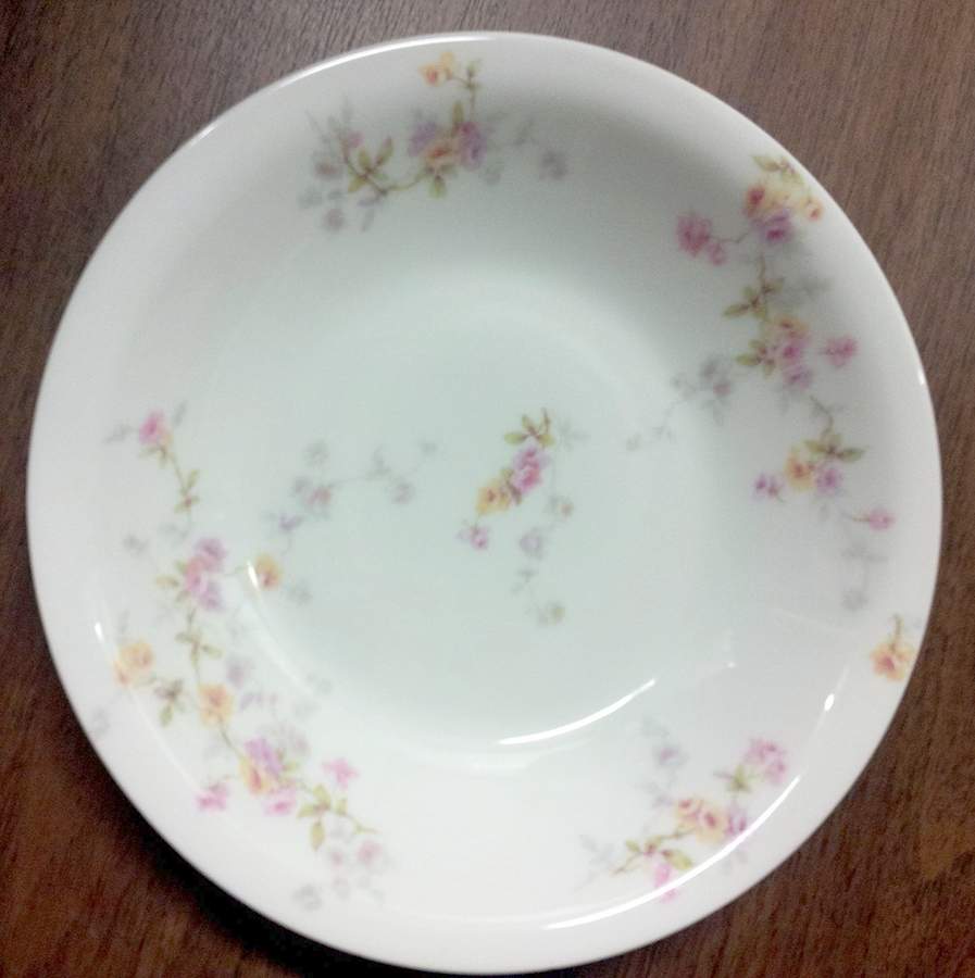 Schleiger 150h Fruit/Dessert (Sauce) Bowl by Haviland-1