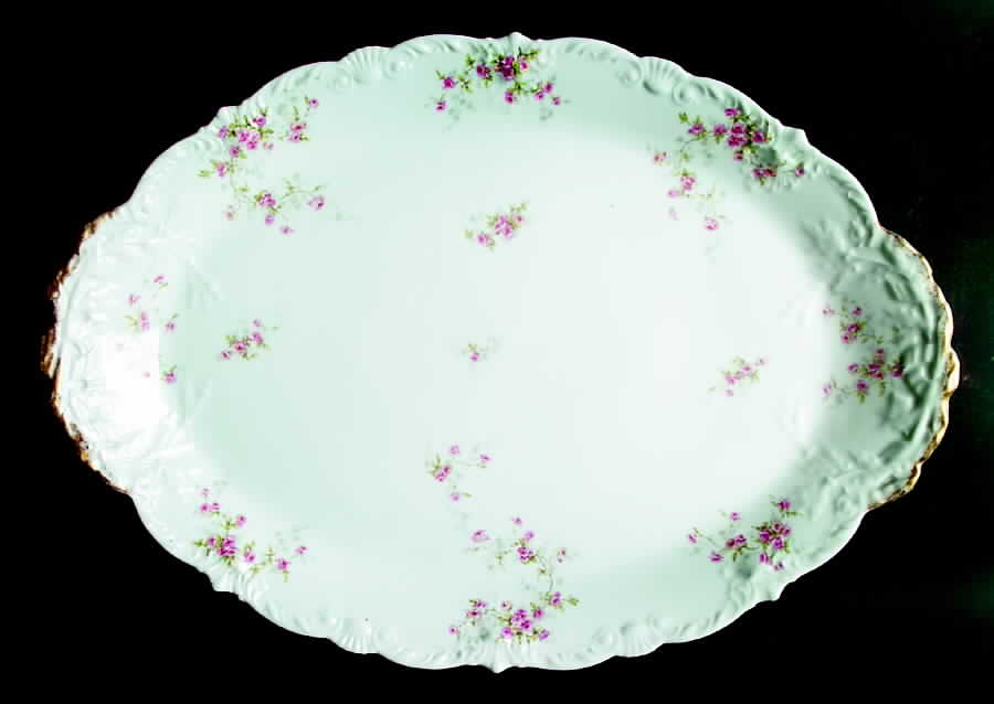 Schleiger 150p 16" Oval Serving Platter by Haviland-1