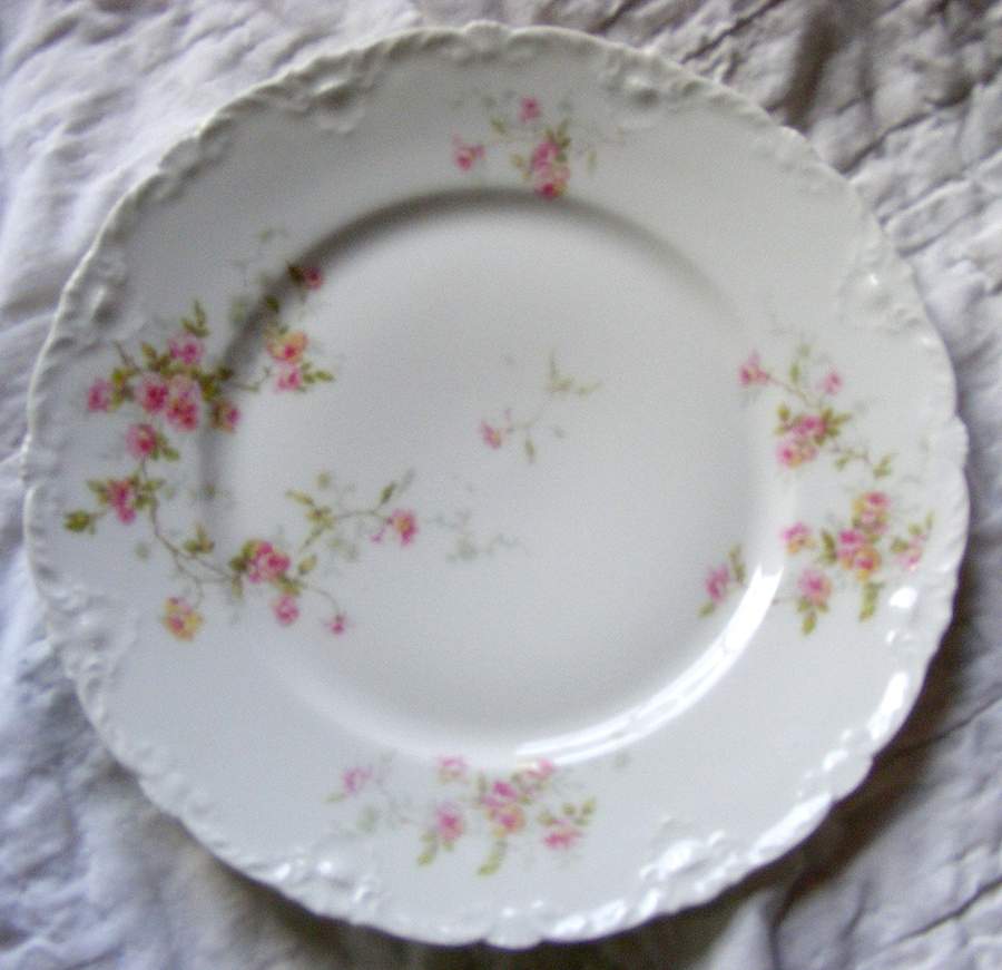 Schleiger 150p Salad Plate by Haviland-1