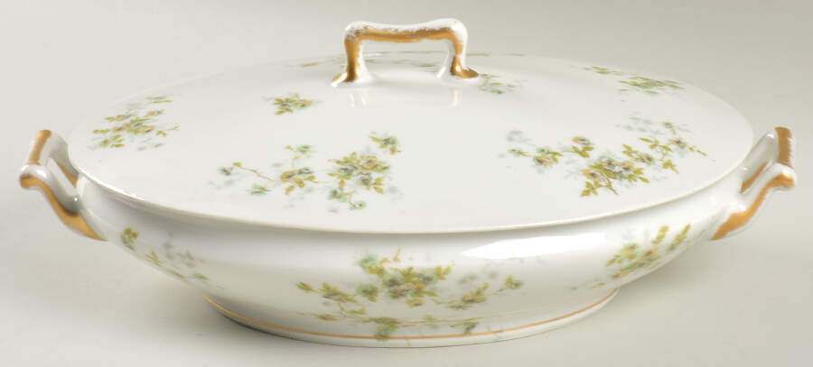 Schleiger 150W Oval Covered Vegetable by Haviland-1
