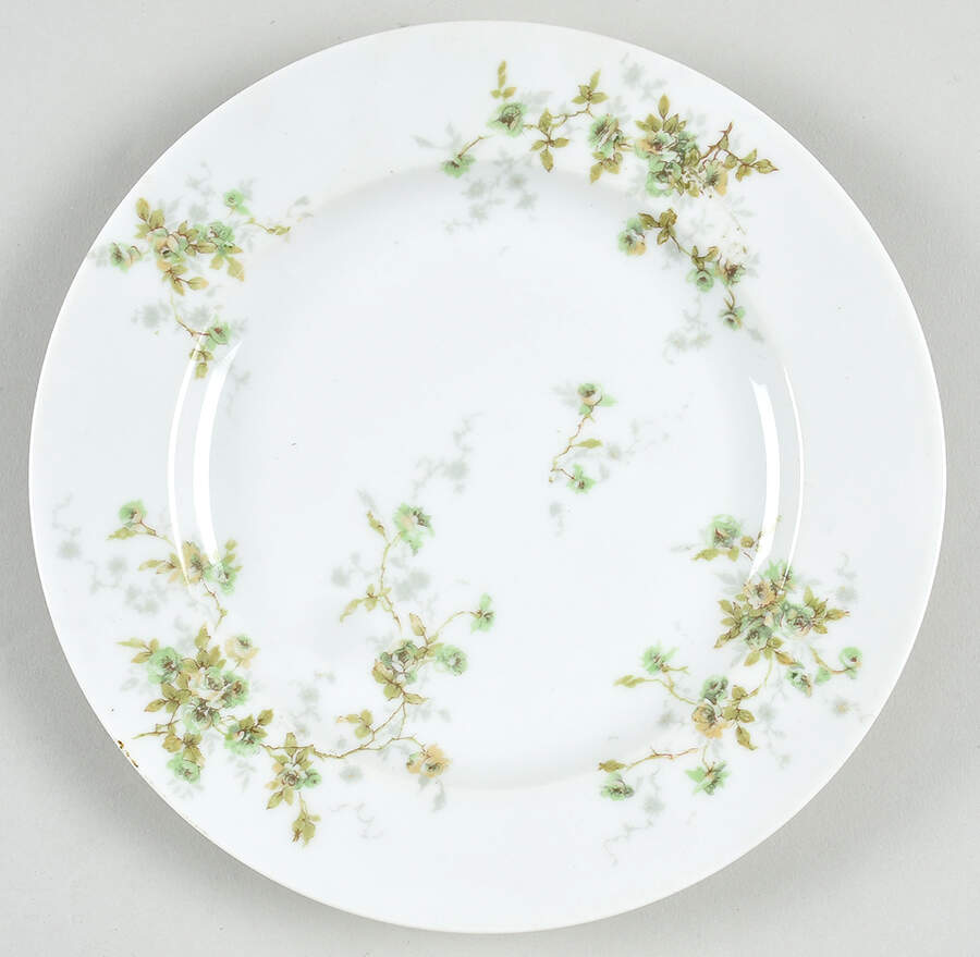 Schleiger 150W Salad Plate by Haviland-1
