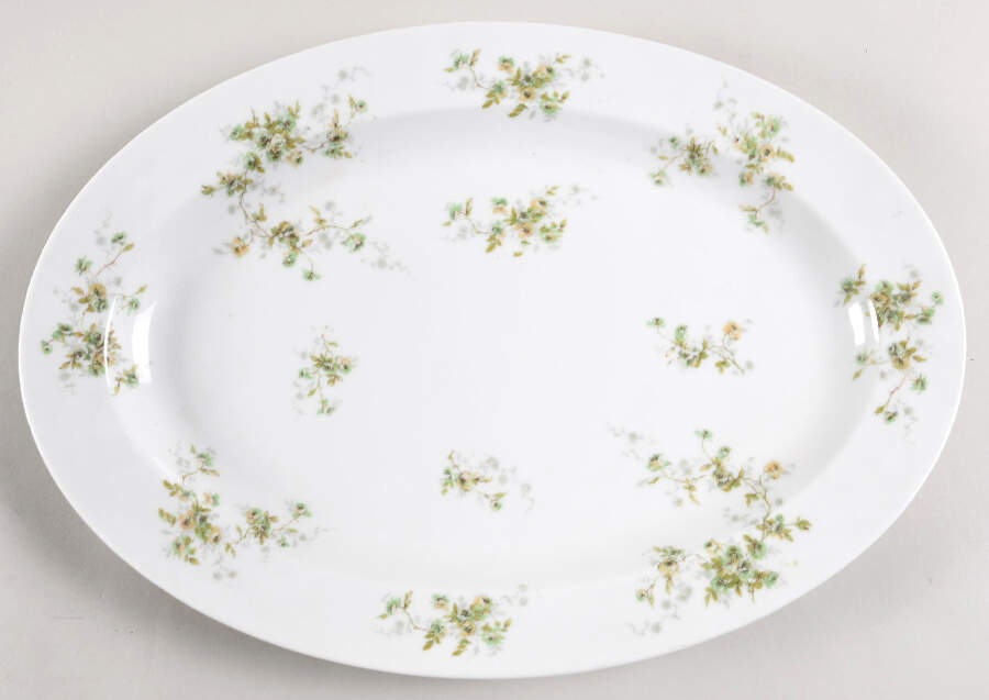 Schleiger 150W 16" Oval Serving Platter by Haviland-1