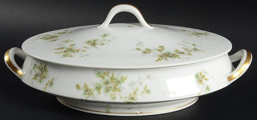Schleiger 150W Oval Covered Vegetable by Haviland-1