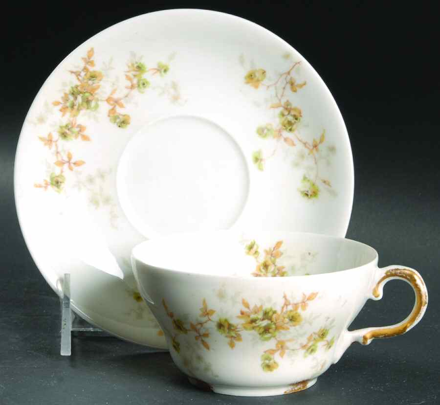 Schleiger 150W Flat Cup & Saucer Set by Haviland-1