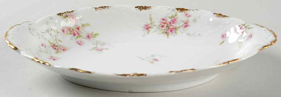 Schleiger 150x Relish by Haviland-1