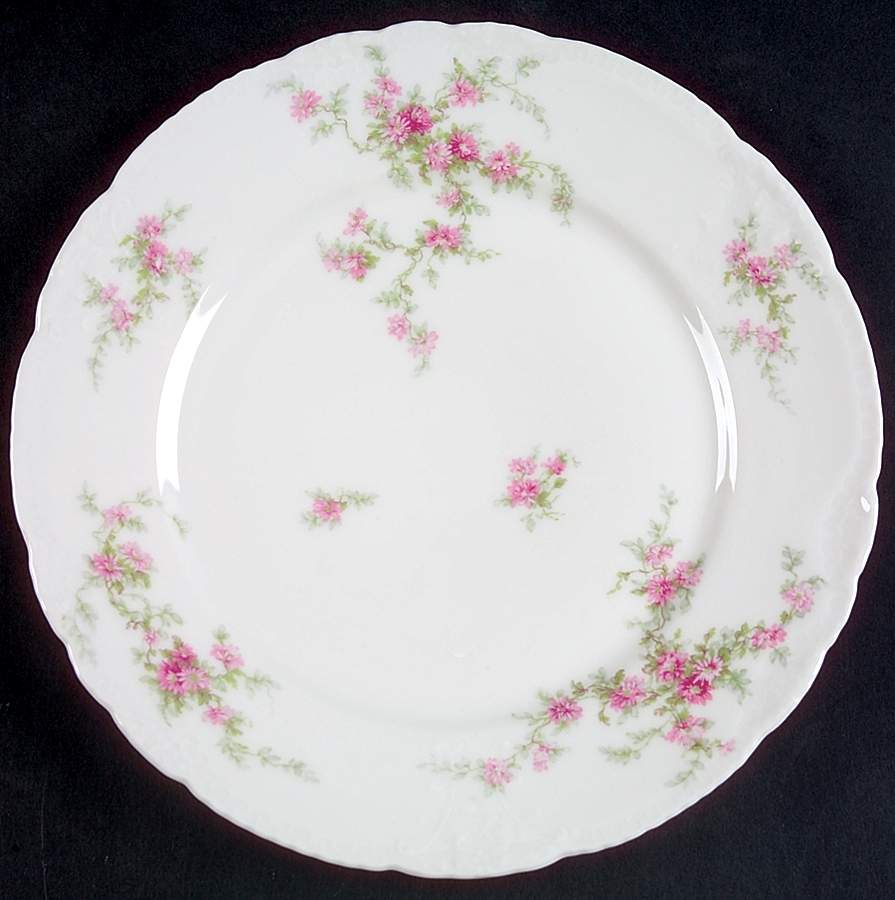 Schleiger 151 Dinner Plate by Haviland-1