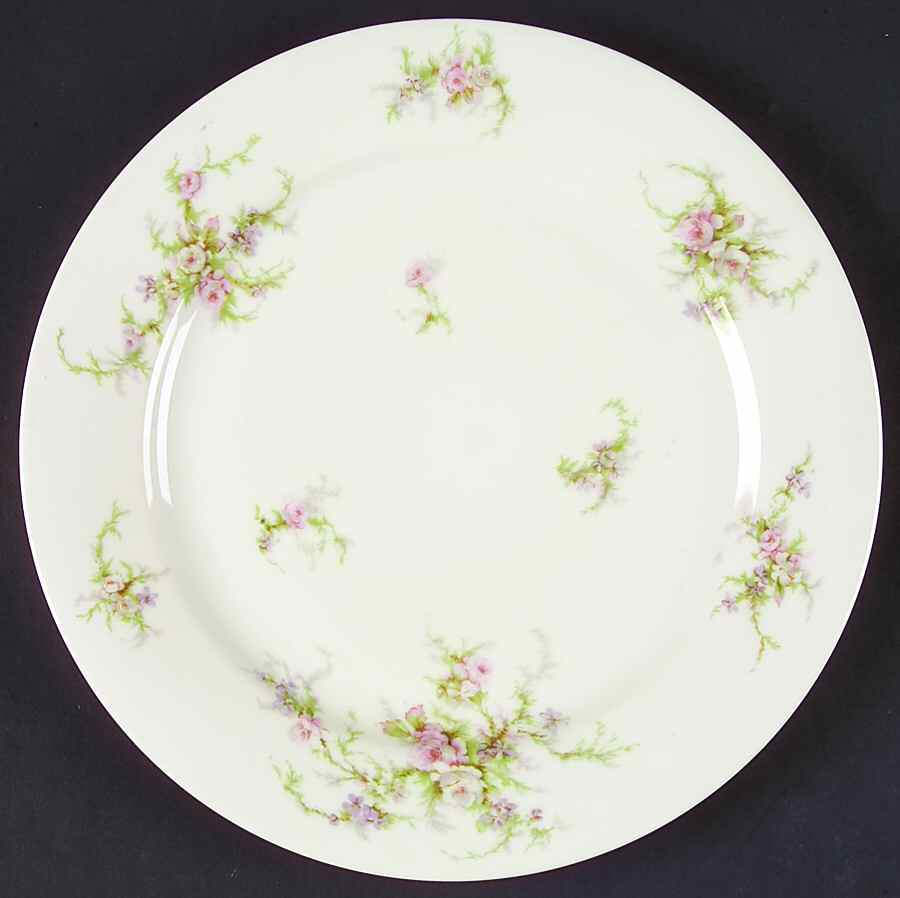 Schleiger 154a (White Background) Dinner Plate by Haviland-1