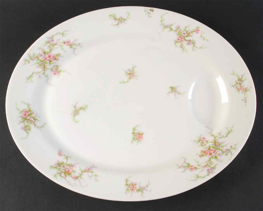 Schleiger 154a (White Background) 15" Oval Serving Platter by Haviland-1