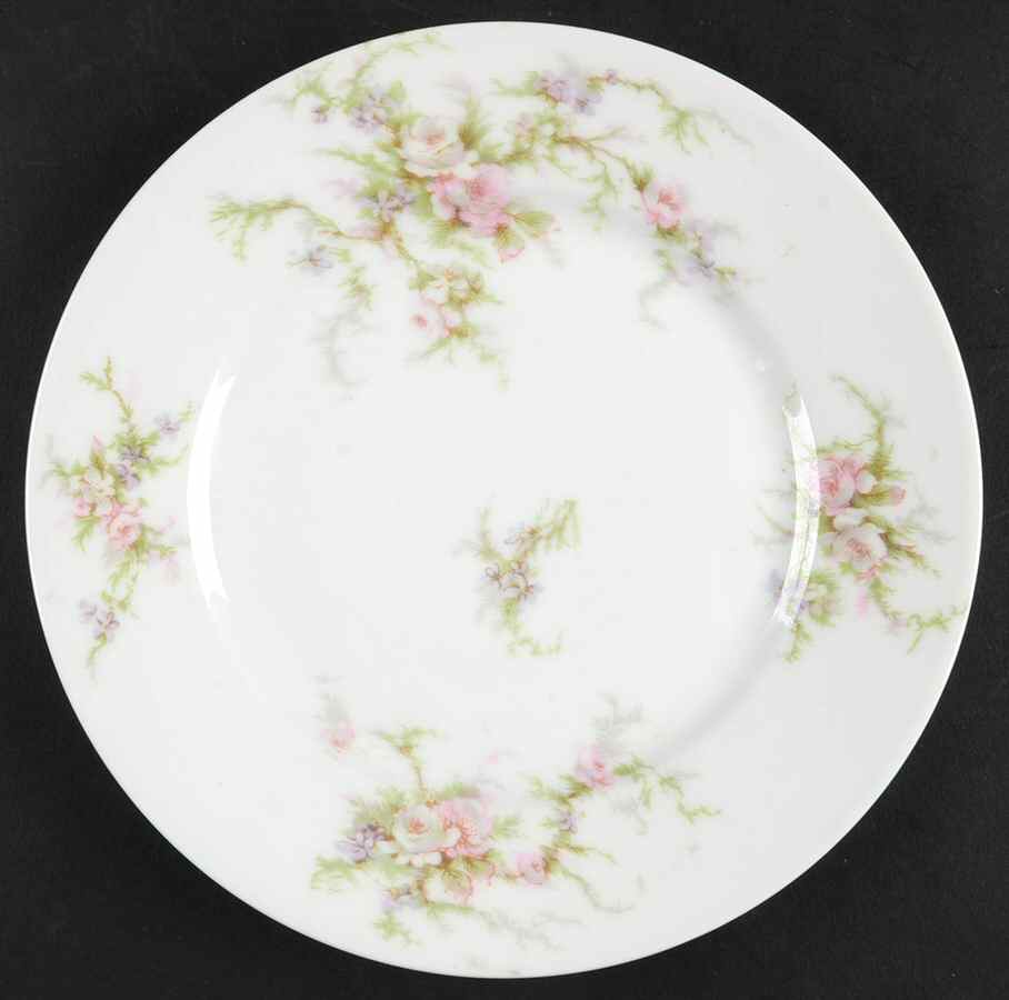Schleiger 154a (White Background) Salad Plate by Haviland-1