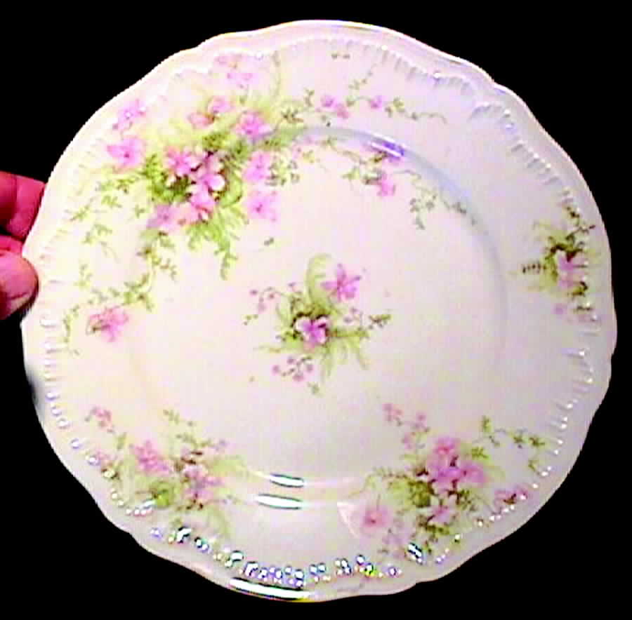 Schleiger 157k Salad Plate by Haviland-1