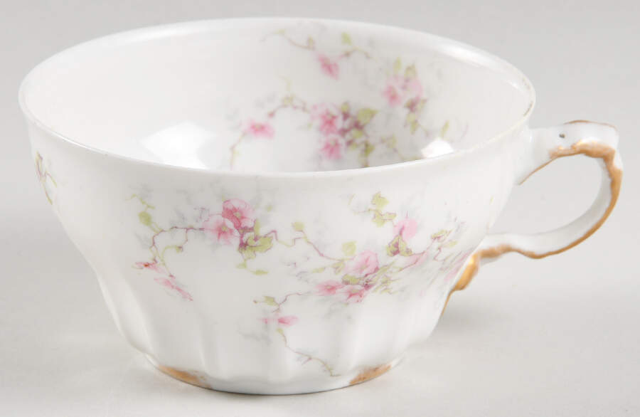 Schleiger 159G Flat Cup by Haviland-1