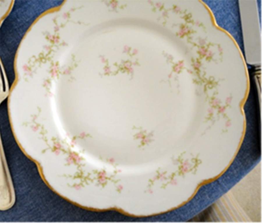 Schleiger 161f Dinner Plate by Haviland-1