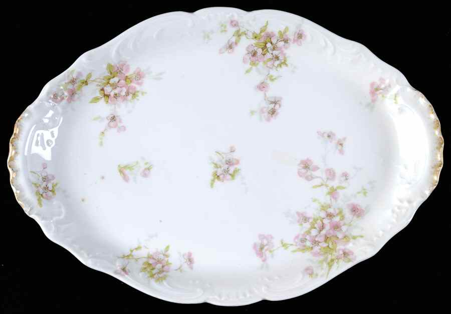 Schleiger 162d 11" Oval Serving Platter by Haviland-1
