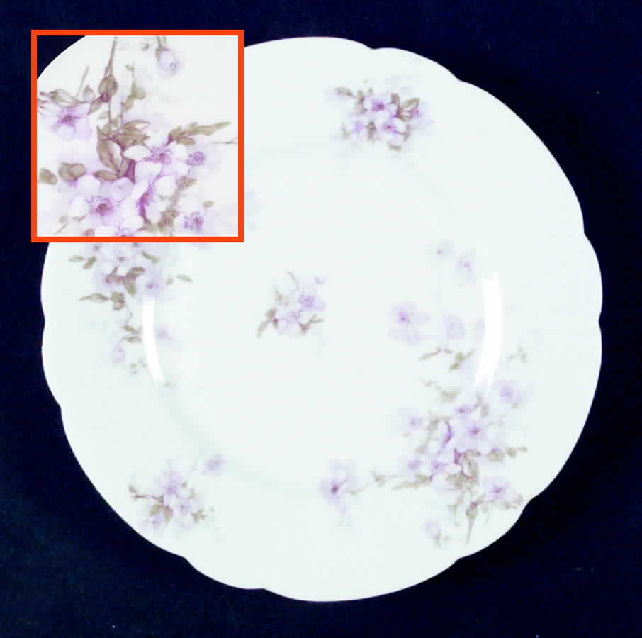 Schleiger 162E Salad Plate by Haviland-1