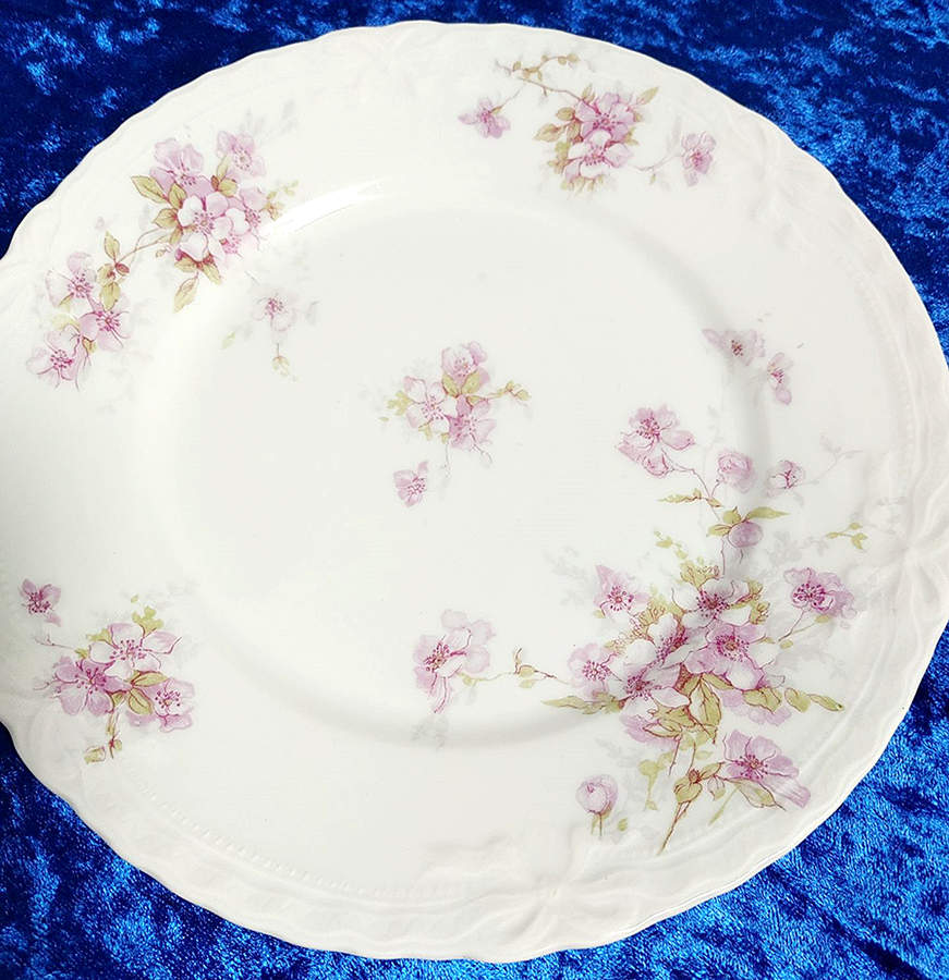 Schleiger 162G Salad Plate by Haviland-1
