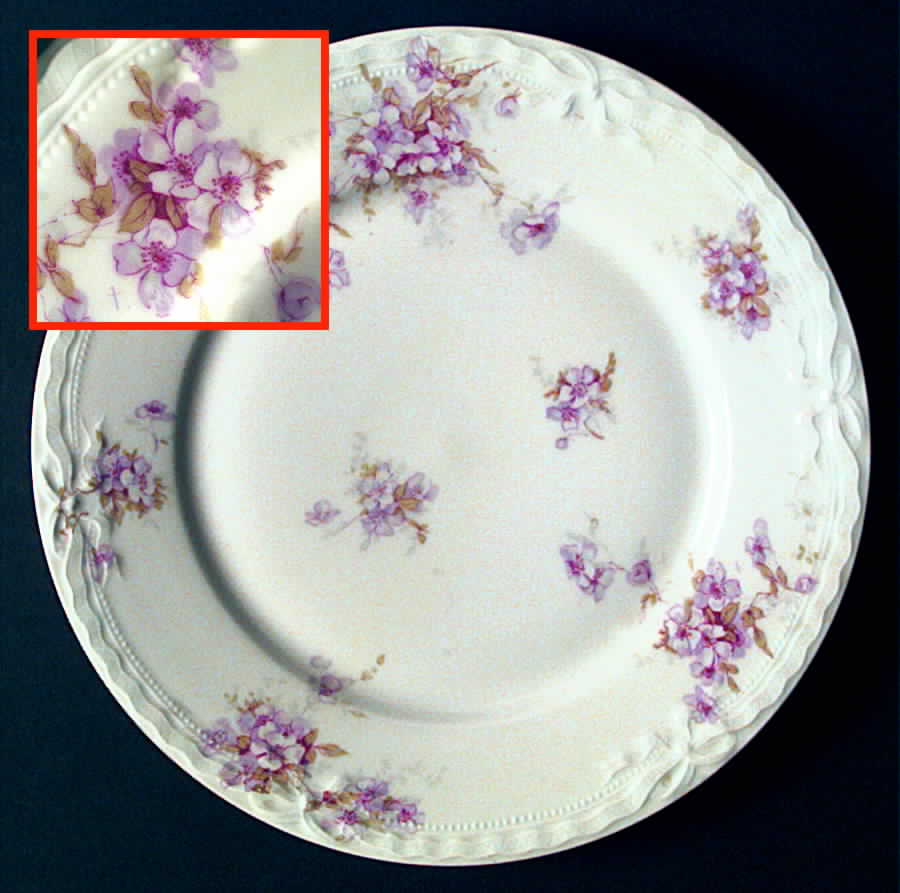 Schleiger 162G Dinner Plate by Haviland-1