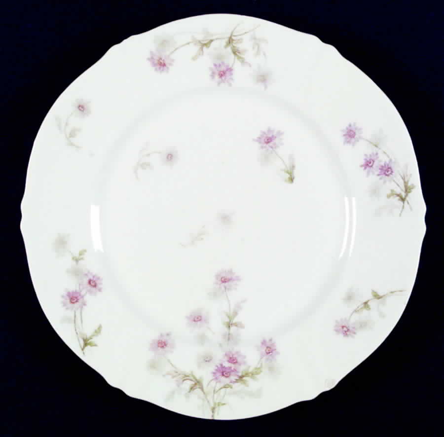 Schleiger 164b Dinner Plate by Haviland-1