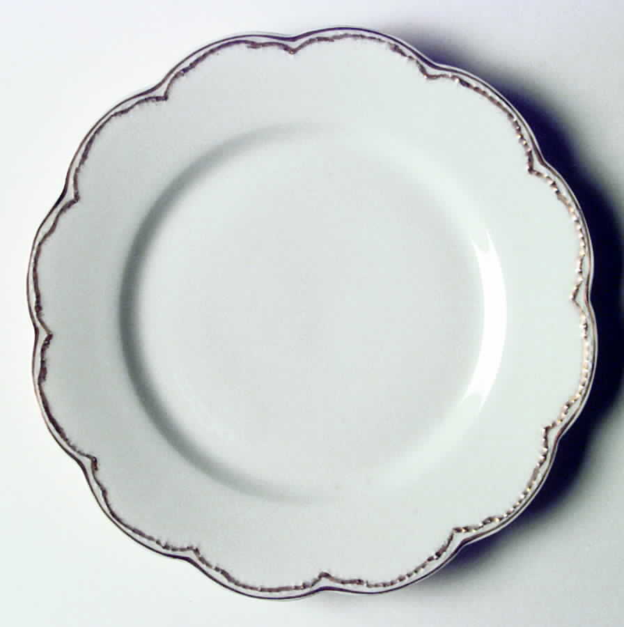 Schleiger 22 Dinner Plate by Haviland-1