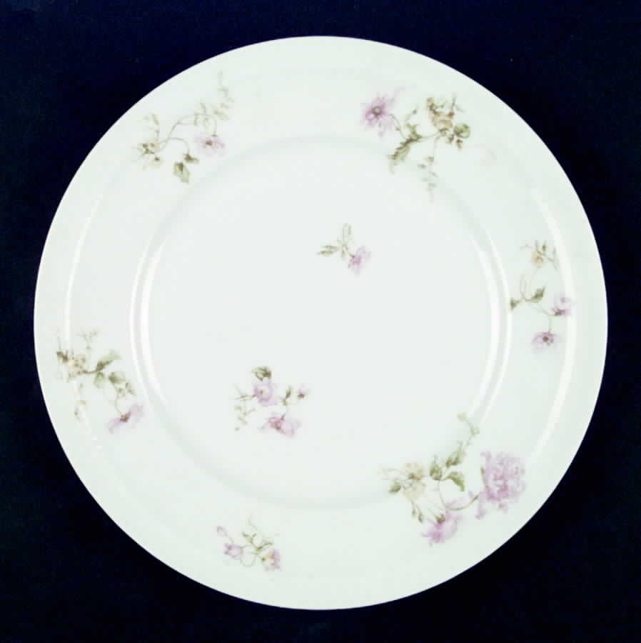 Schleiger 221f Dinner Plate by Haviland-1