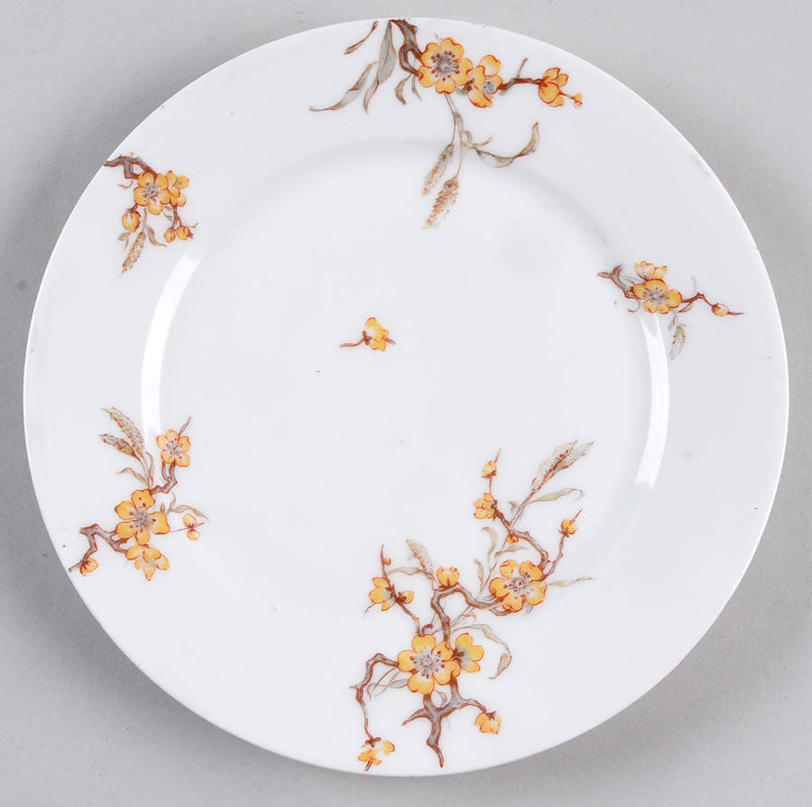Schleiger 222D Salad Plate by Haviland-1