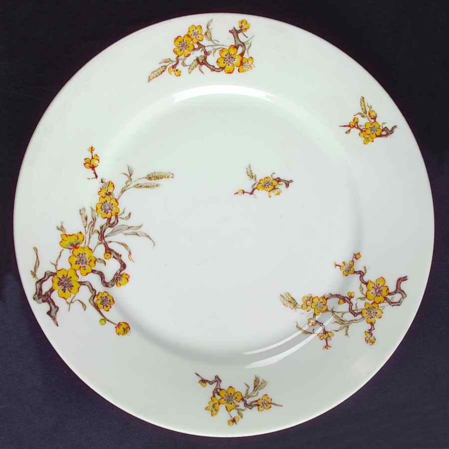 Schleiger 222D Dinner Plate by Haviland-1
