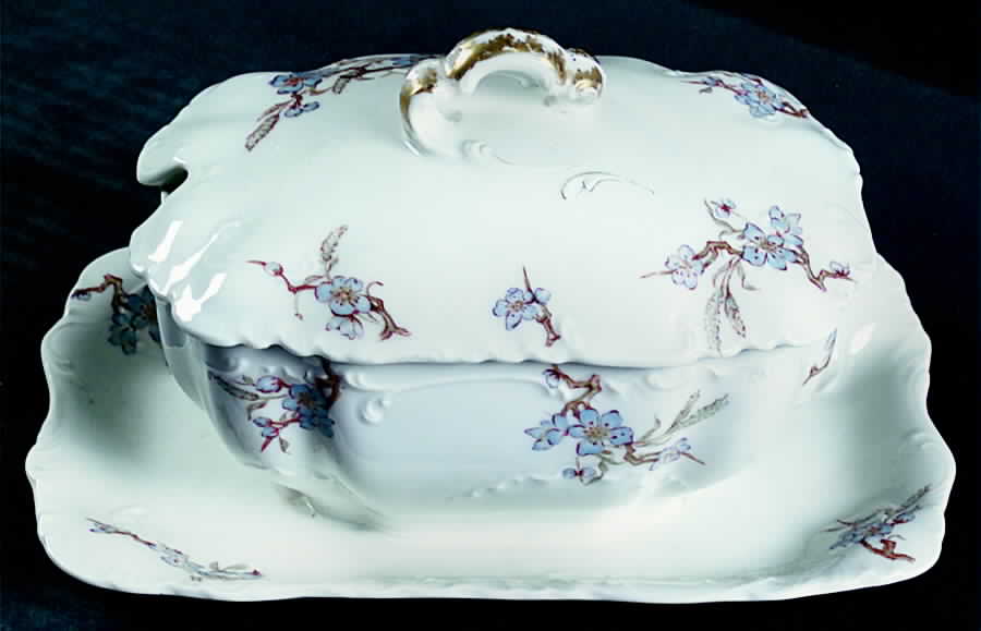 Schleiger 222F Gravy Boat w/Attached Underplate & Lid by Haviland-1