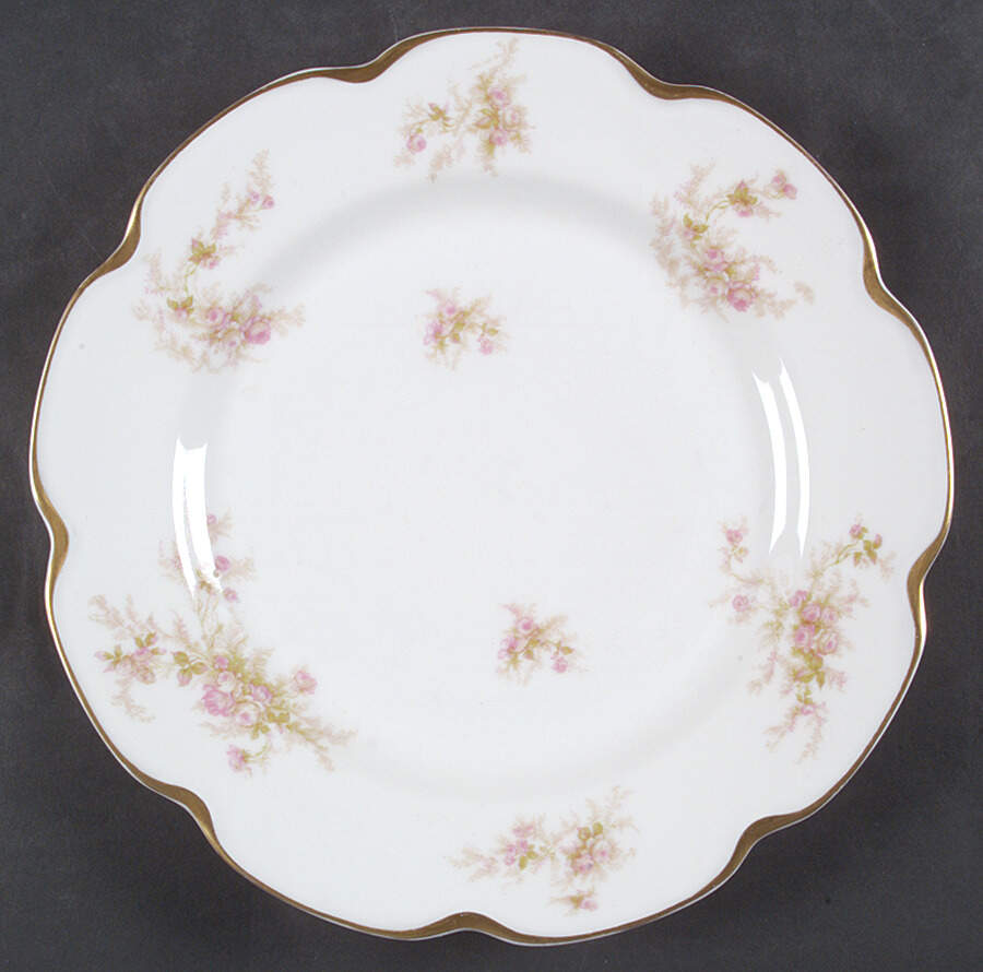 Schleiger 223 Dinner Plate by Haviland-1