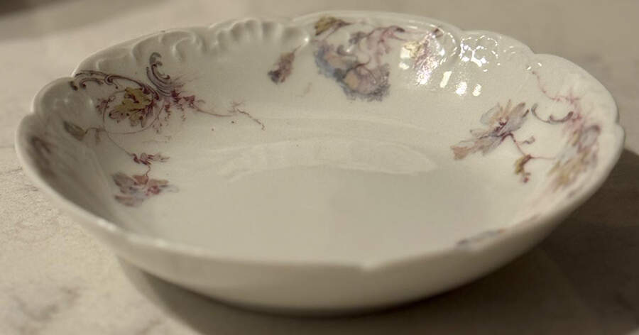 Schleiger 226e Coupe Cereal Bowl by Haviland-1