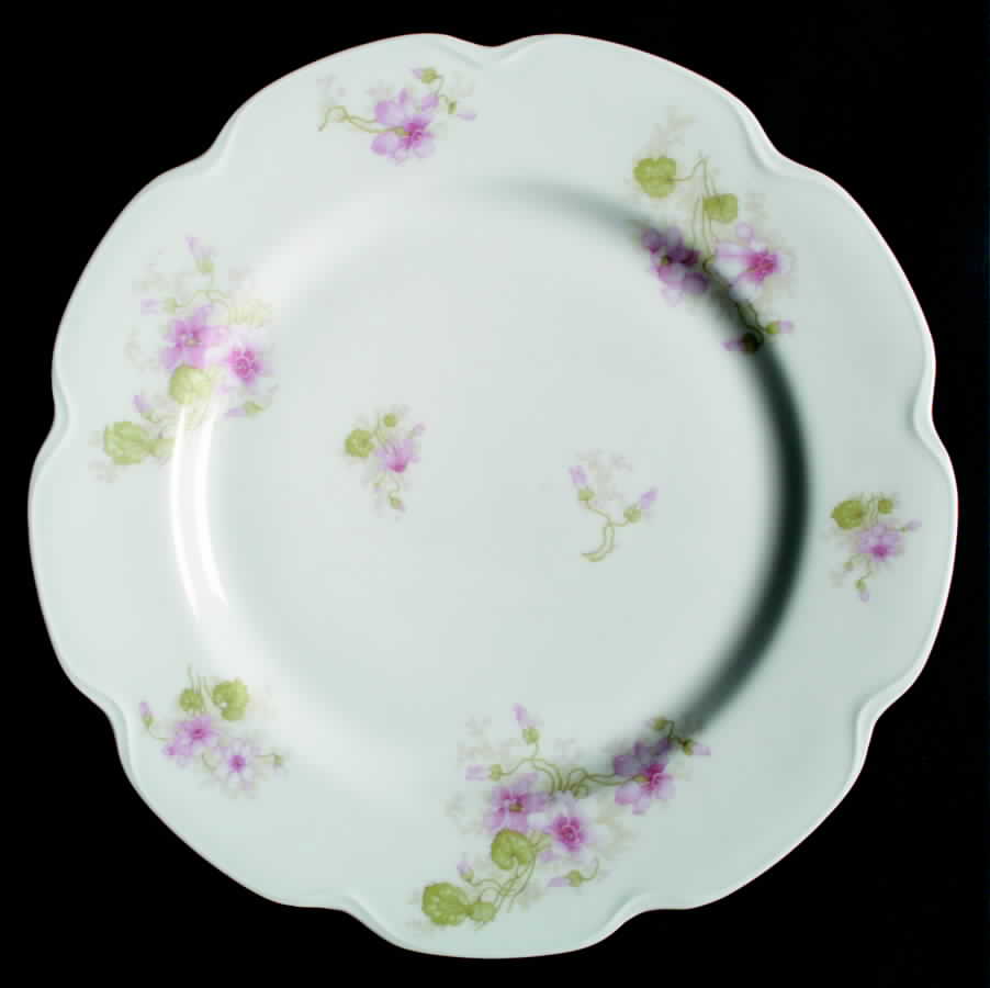 Schleiger 227a Dinner Plate by Haviland-1