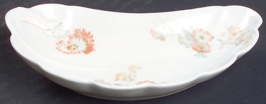 Schleiger 237 Bone Dish by Haviland-1