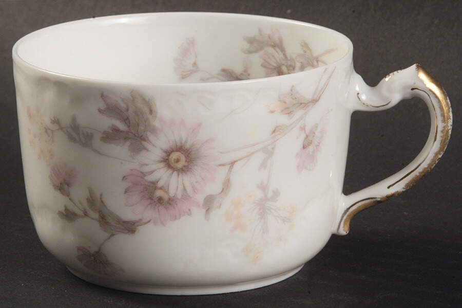Schleiger 237C Flat Cup by Haviland-1