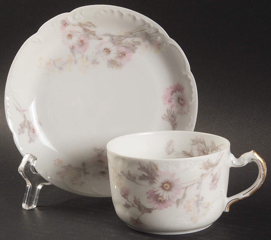 Schleiger 237C Flat Cup & Saucer Set by Haviland-1