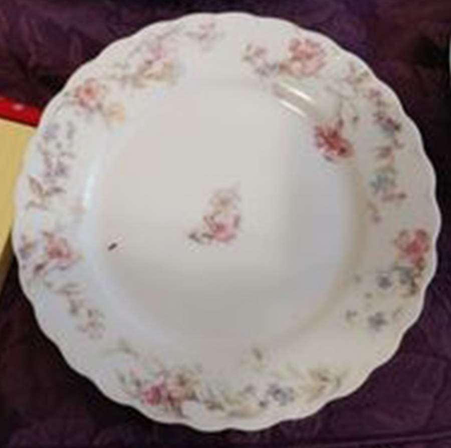 Schleiger 240a Bread & Butter Plate by Haviland-1