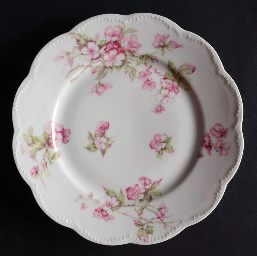 Schleiger 241A Salad Plate by Haviland-1
