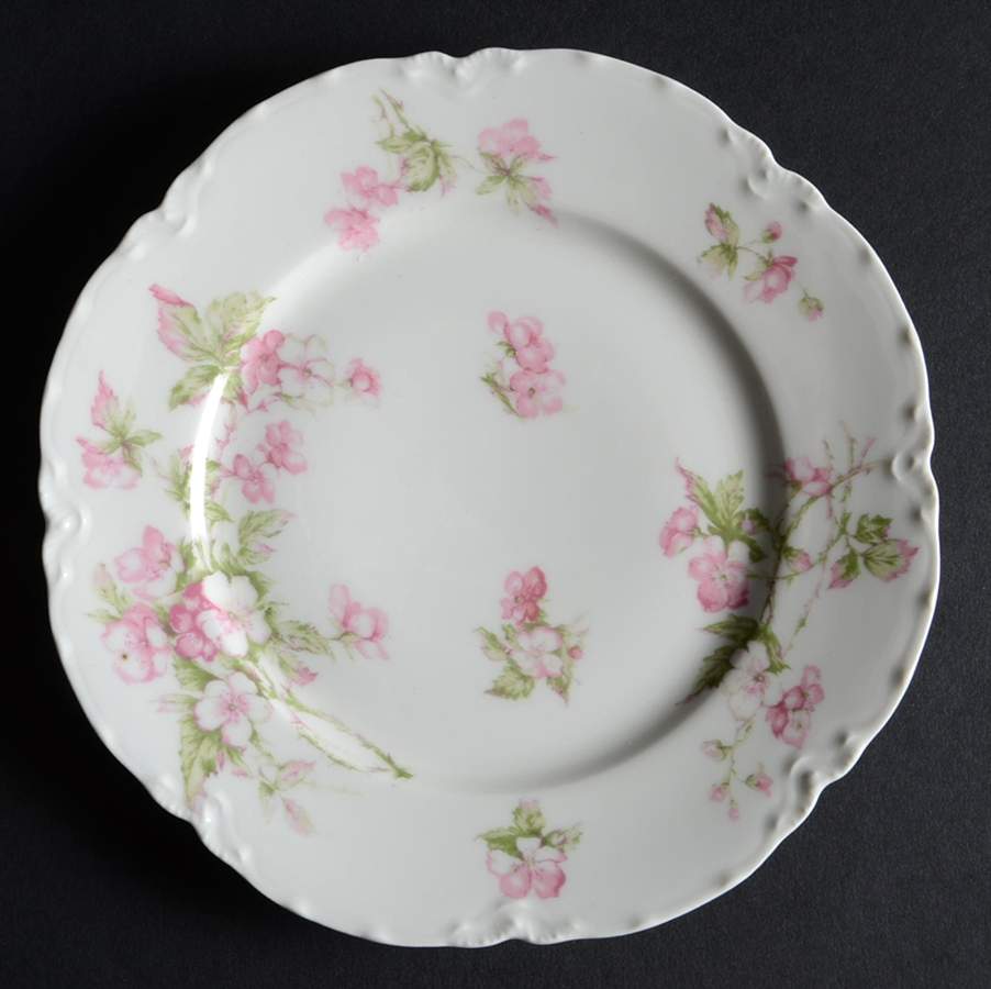Schleiger 241B Salad Plate by Haviland-1