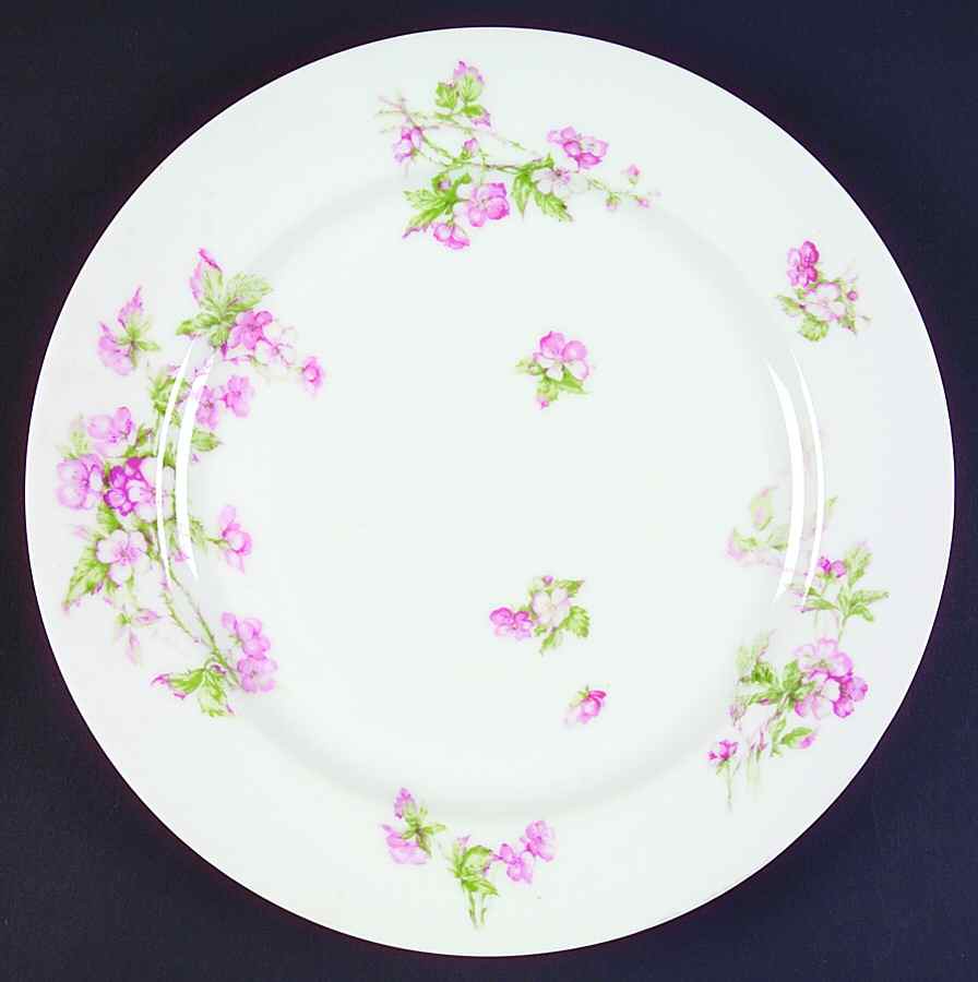 Schleiger 241C Dinner Plate by Haviland-1