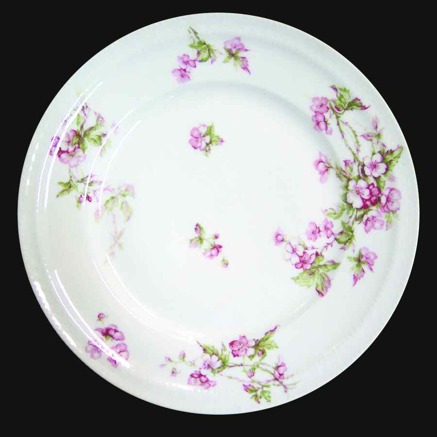 Schleiger 241e Dinner Plate by Haviland-1