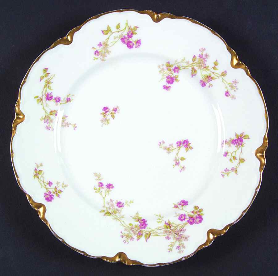 Schleiger 242h Dinner Plate by Haviland-1