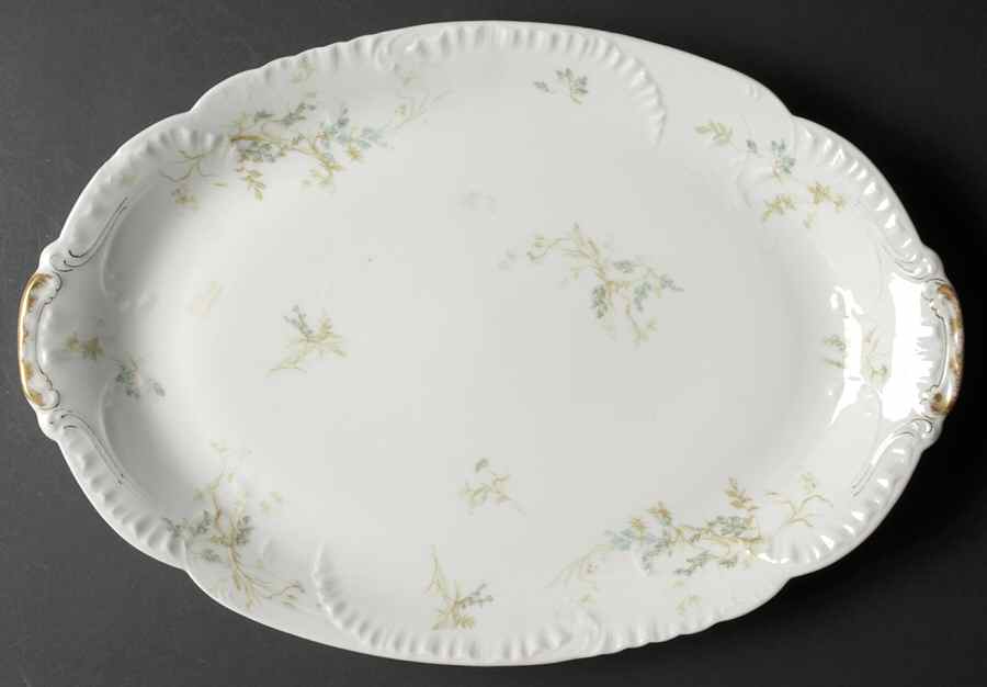 Schleiger 245 17" Oval Serving Platter by Haviland-1
