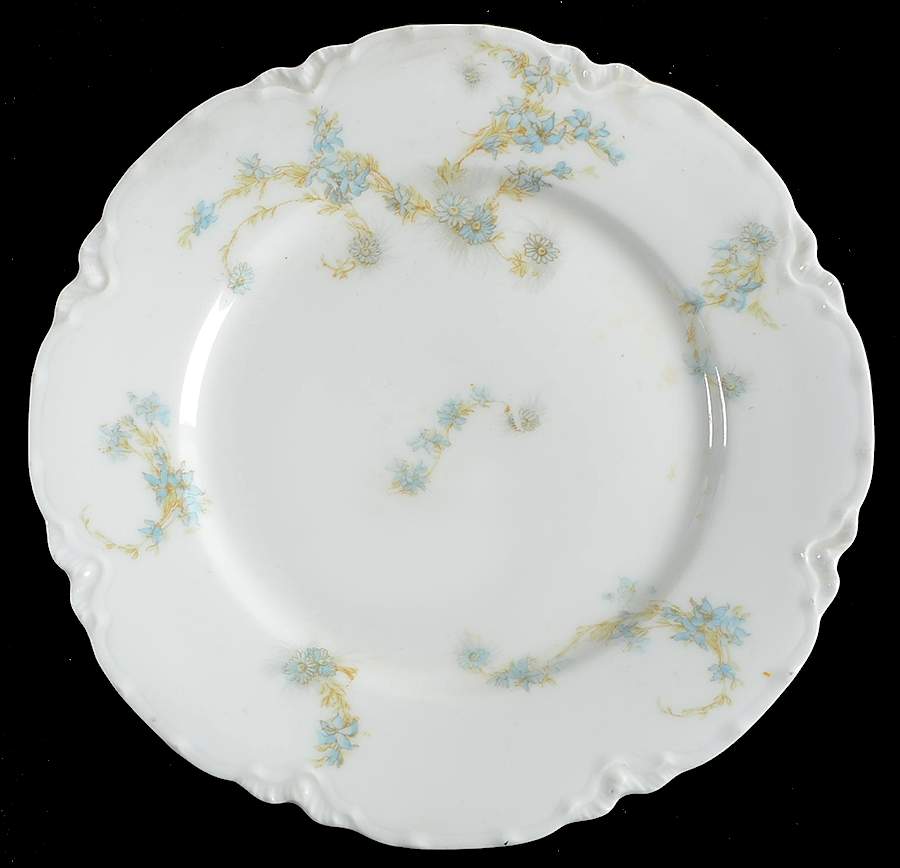 Schleiger 247b Salad Plate by Haviland-1
