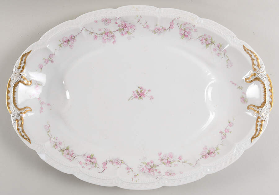 Schleiger 248 18" Oval Serving Platter by Haviland-1