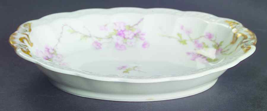 Schleiger 248 Relish by Haviland-1
