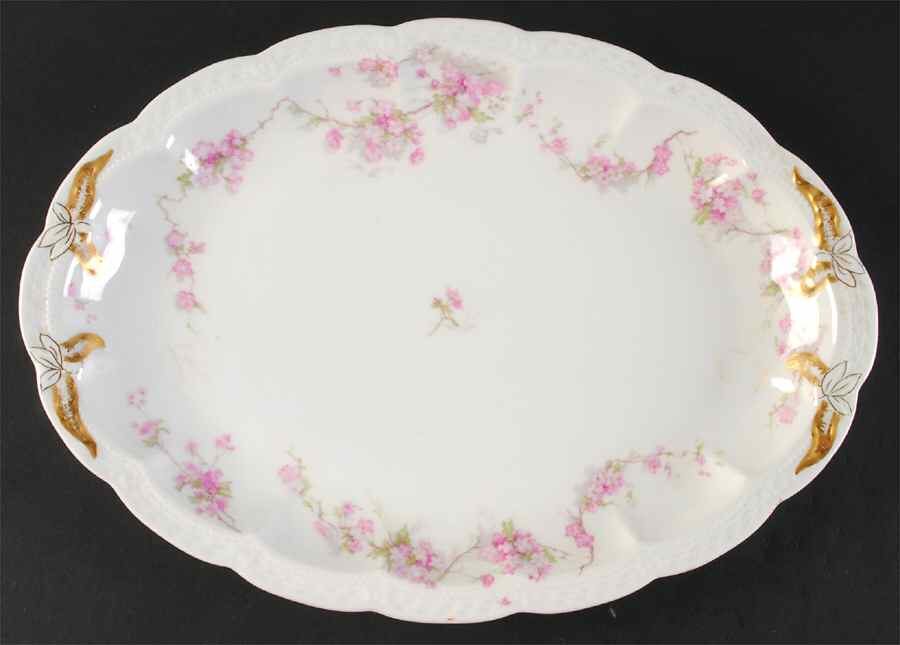 Schleiger 248 14" Oval Serving Platter by Haviland-1