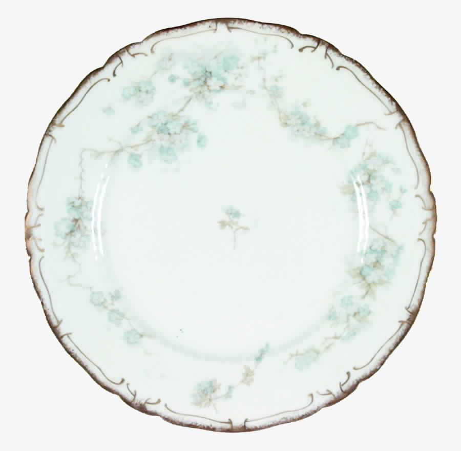 Schleiger 248A Dinner Plate by Haviland-1
